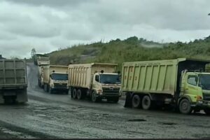 WhatsApp Image 2025-10-25 at 15.59.09_9dca4db4 WhatsApp Image 2025-10-25 at 15.59.09_9dca4db4